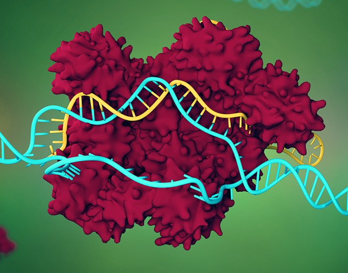 rna web menu